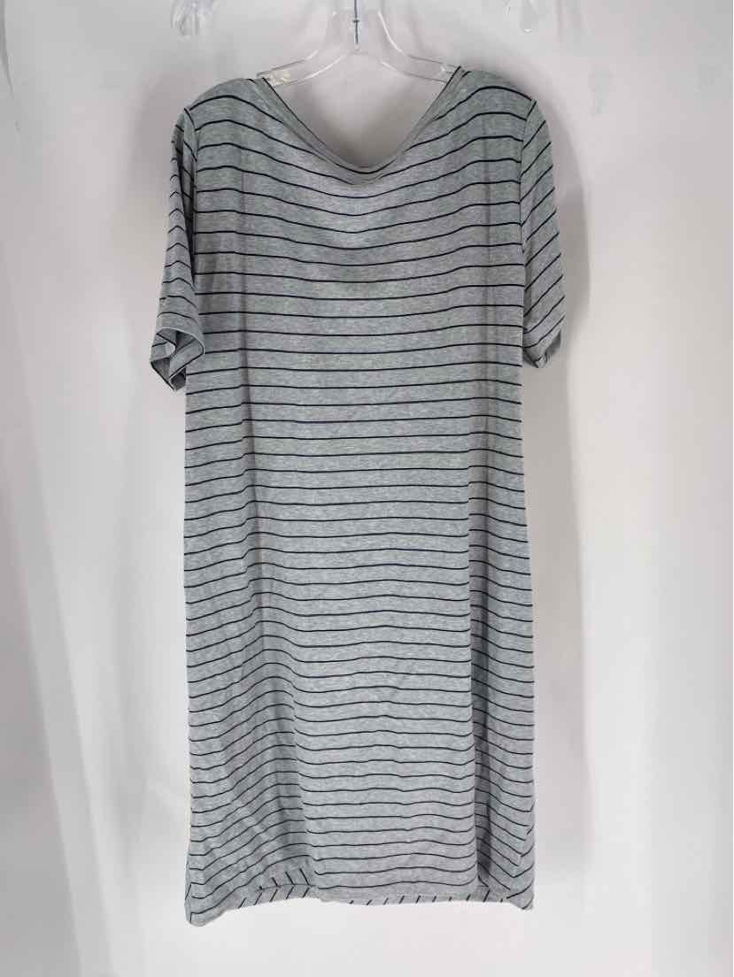 Size XXL LAFAYETTE Gray Cotton Dress