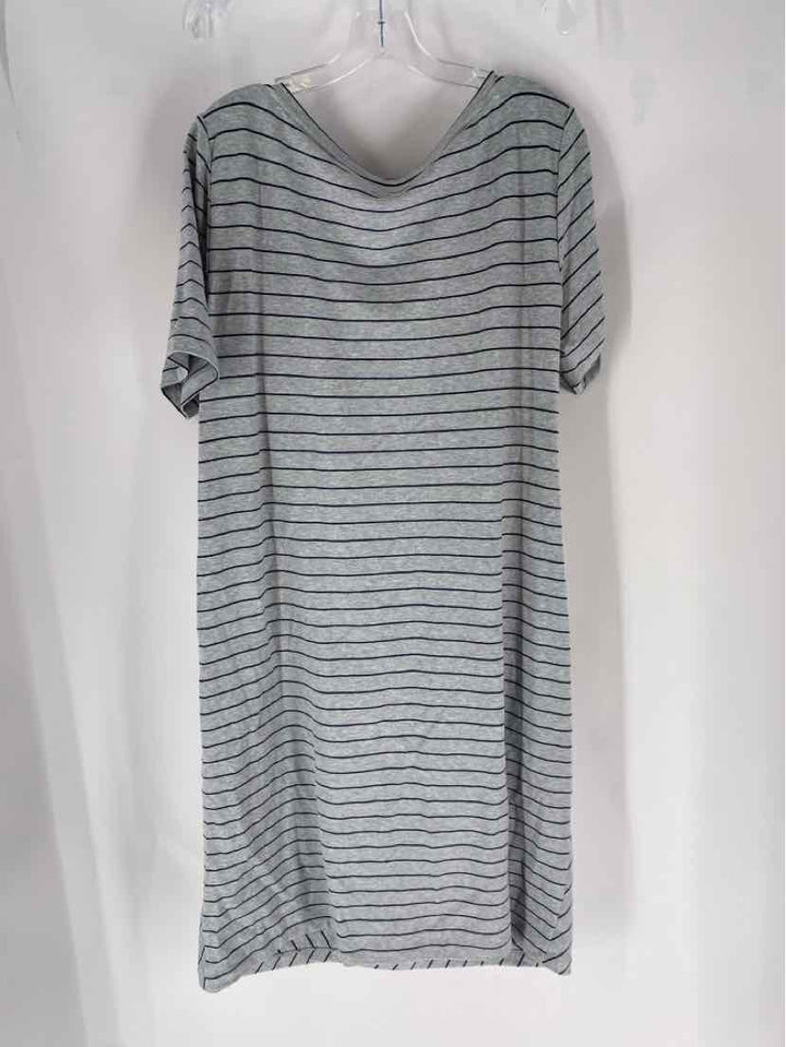 Size XXL LAFAYETTE Gray Cotton Dress