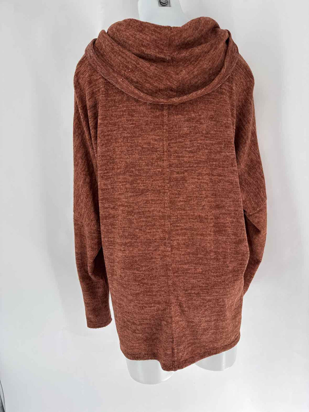 Size L/XL Brown Sweater