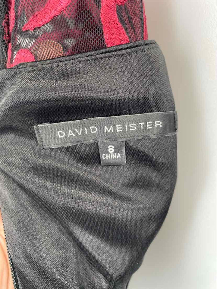 Size 8 DAVID MEISTER Purple Print Dress