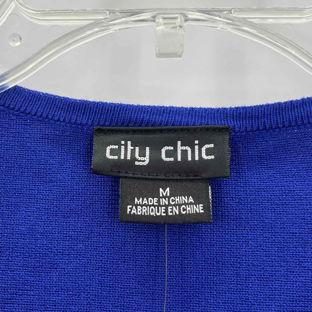 Size M CITY CHIC Purple Sweater