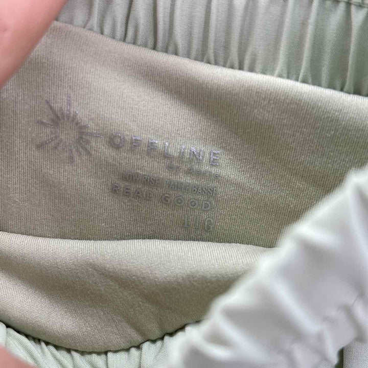 Size L AERIE Green Nylon Shorts