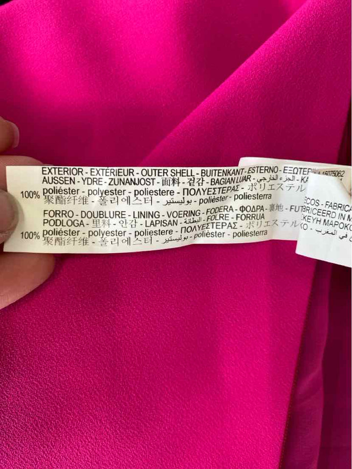 Size S ZARA Fuschia Dress