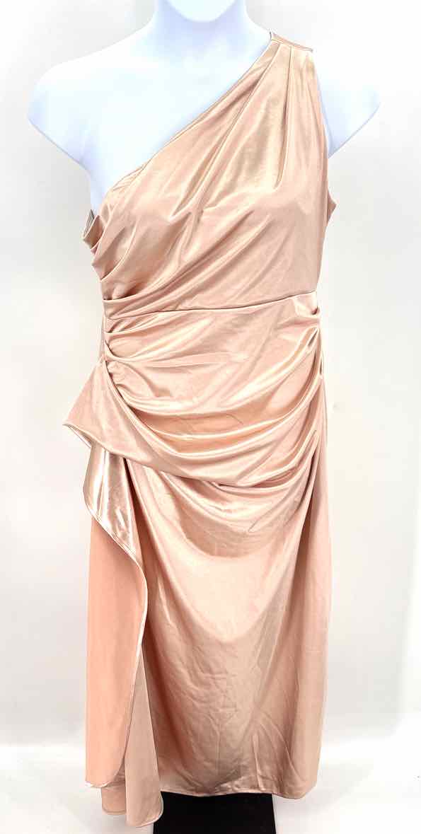 Size 1X Champagne Dress