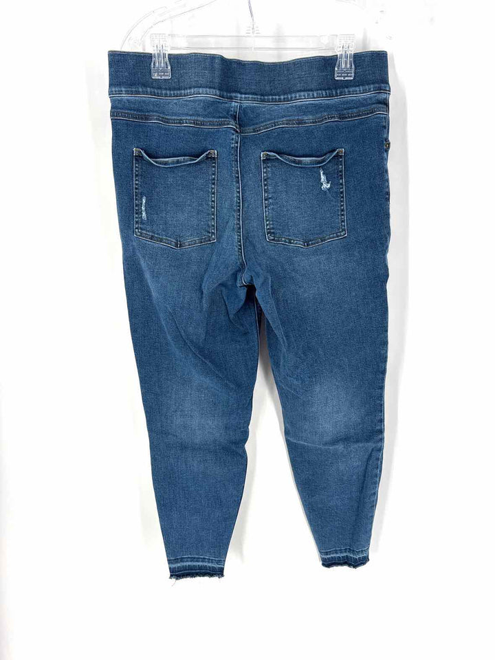 Size 1X SPANX Denim Pants