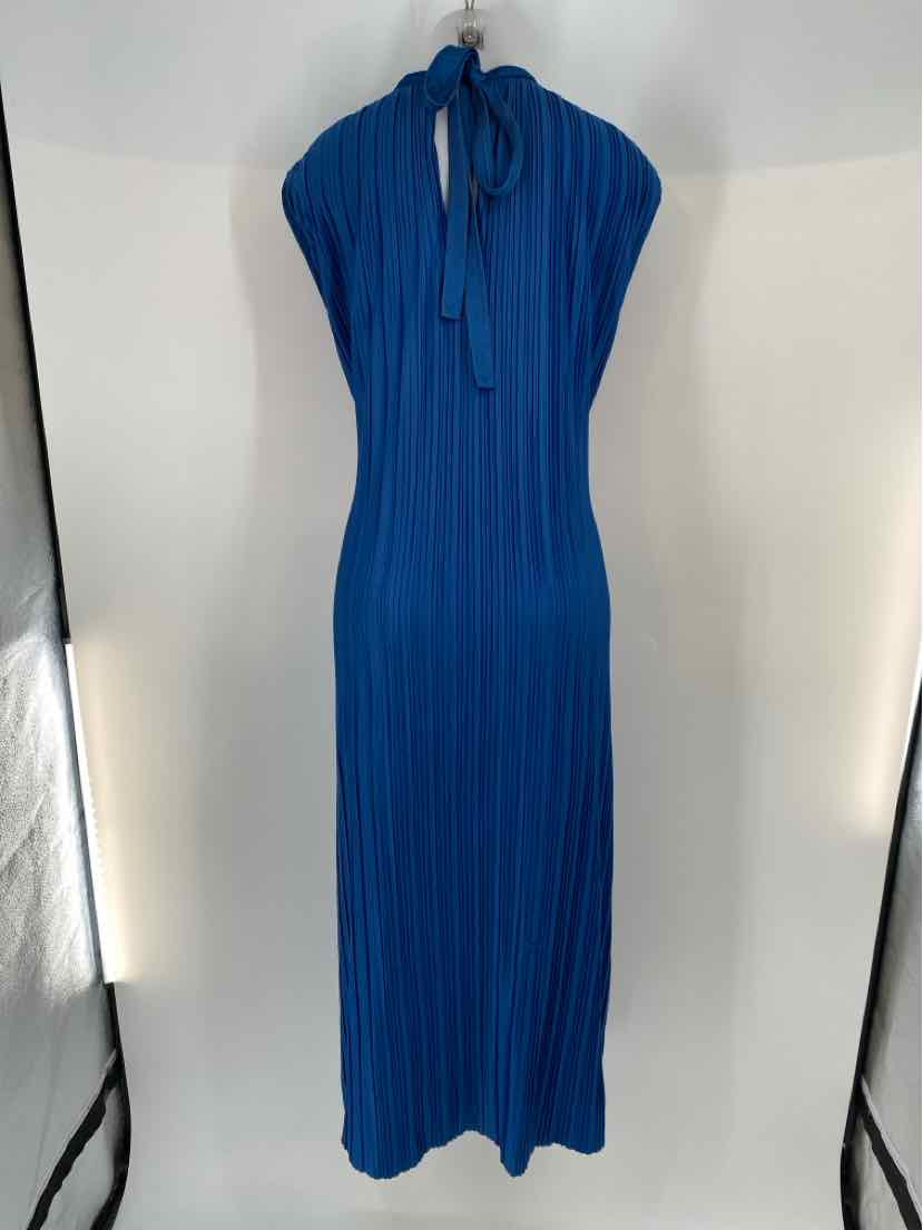 Size M Blue Dress