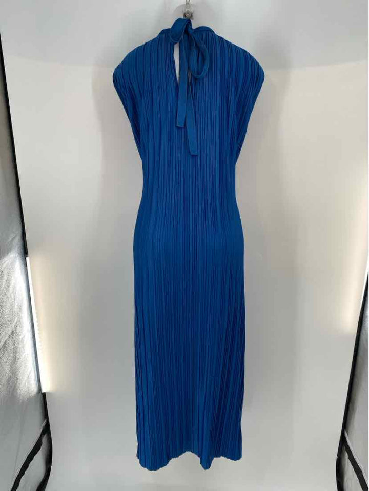 Size M Blue Dress