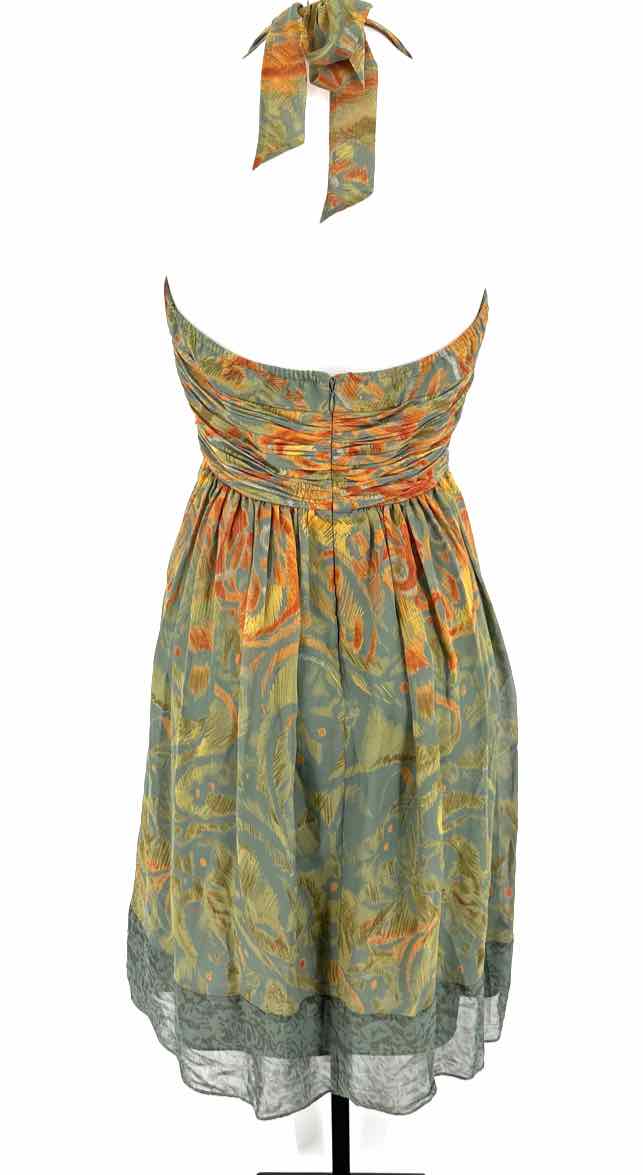Size 8 Adrianna Papell Multi-Color Dress