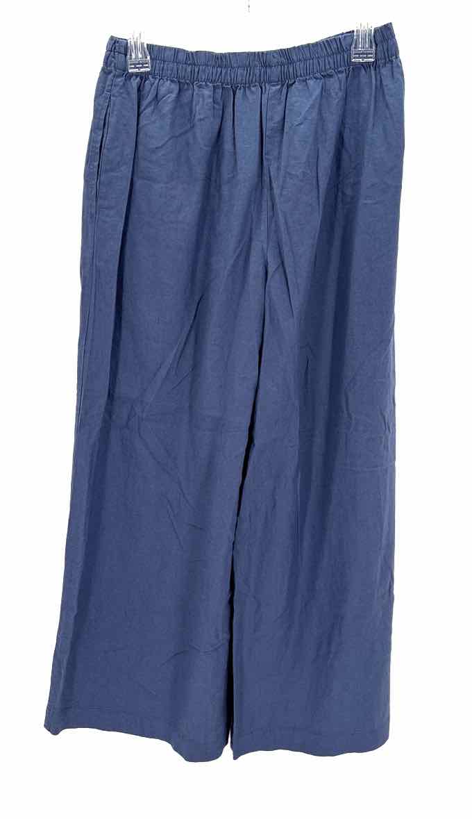 Size M Z SUPPLY Blue Pants